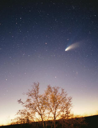 Cometa Hale Bopp