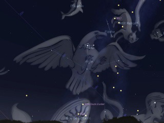 constelación del Águila, Aquila