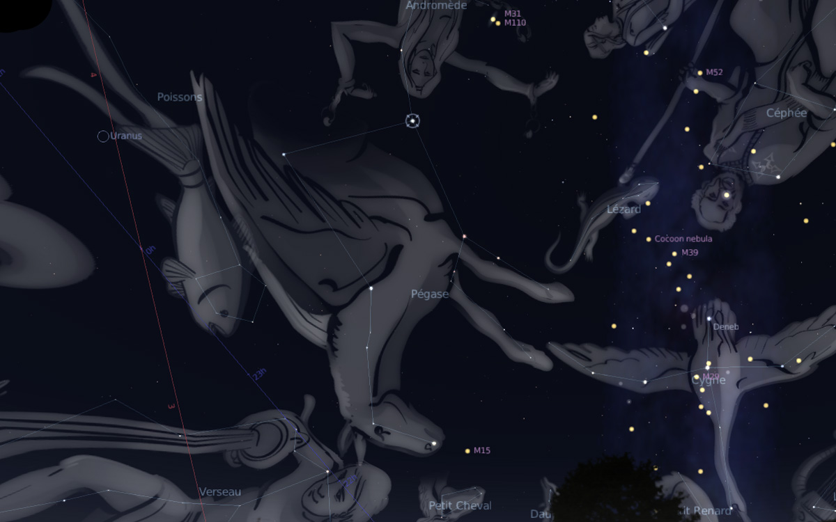 October sky for children, constellation Pegasus