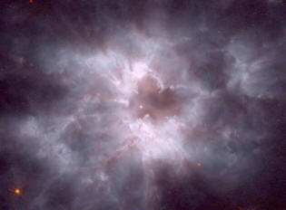 white dwarfs - stars