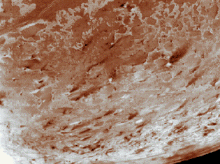 les geysers de Triton, lune de Neptune