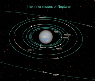 Orbits of the moons of Neptune