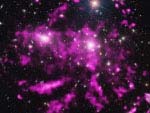 El cúmulo de galaxias Coma en su sopa