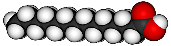 Fatty acids