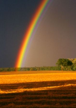 couleurs de l'arcs-en-ciel