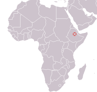 Ardipithecus découvert en Ethiopie