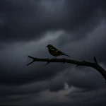 The Other Climate Threat: Earth Shrouded in Shadow and Humidity