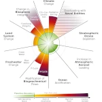 The Great Bifurcation that will Disrupt Our World: Survival or Collapse?