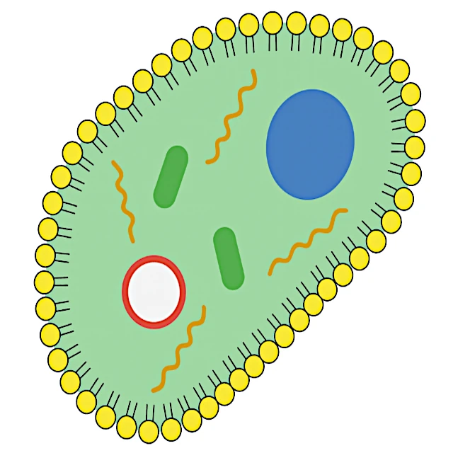 Além do acaso: a célula primitiva