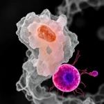 Da Matéria à Vida: A Fronteira Difusa da Emergência Biológica