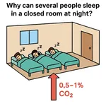 CO y CO₂: Dos Gases, Dos Riesgos, Dos Mecanismos Biológicos