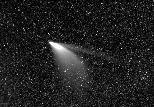 Cometa Neowise