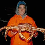Kamchatka King Crab: A Giant of the Oceans
