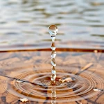 The Three Ages of Terrestrial Water: Multiple Origins