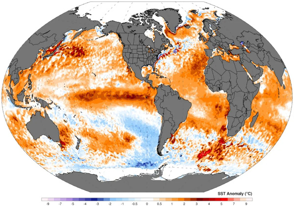 Consequências Dramáticas do Fenômeno El Niño