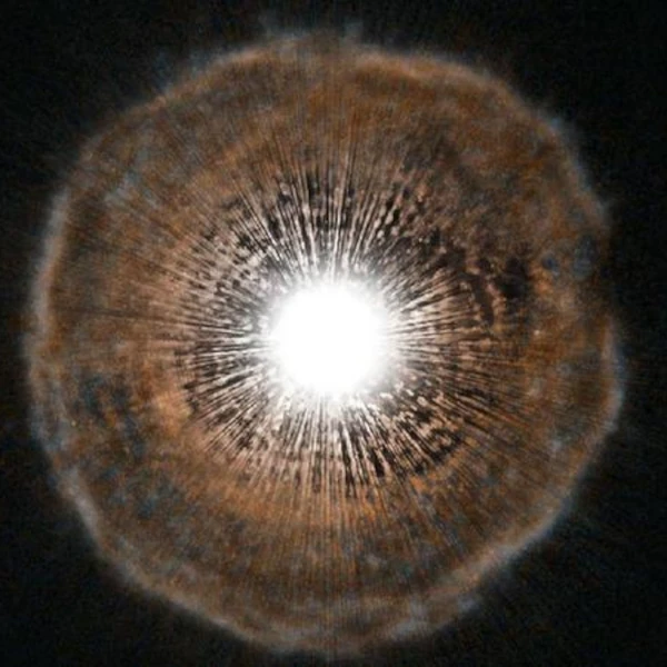 U Camelopardalis: The Carbon Star Losing Its Envelope
