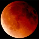 The Light of Life: A Biosignature Revealed by the Moon