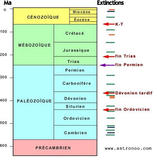 extinctions des espèces du phanérozoïque