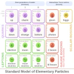 Electroweak Force: The Unification of Electromagnetism and the Weak Interaction