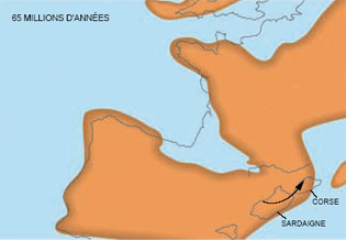 França 65 000 000 Anos