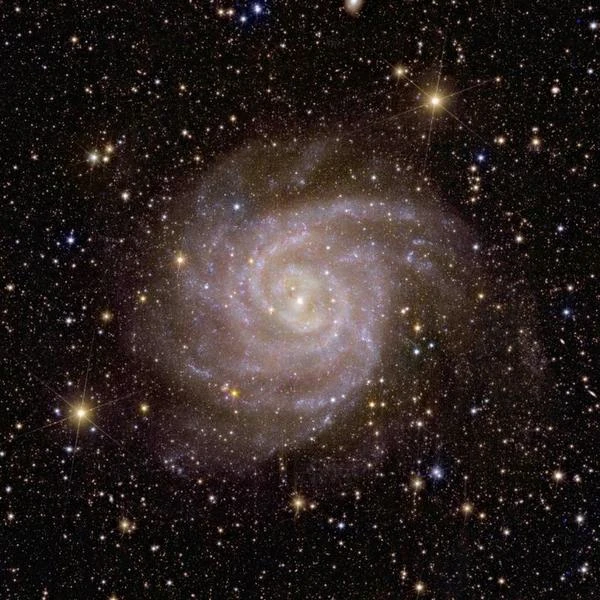 The hidden galaxy, one of Euclid's first images