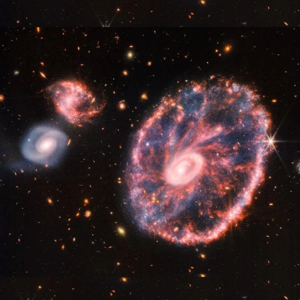Cartwheel Galaxy observed by JWST