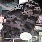 Meteorites: Messengers from Space and Witnesses of the Solar System