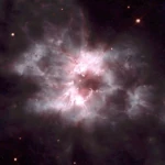 White Dwarfs: Stars at the End of Their Life