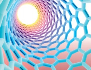 The carbon nanotubes