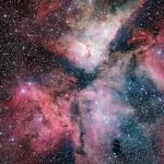 Carina: A Nebula More Active than the Horsehead and Orion Combined?