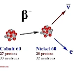 Radioactivité Bêta et Neutrino : Une Histoire de Masse et de Spin