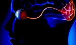We do not see with our eyes but with our brain