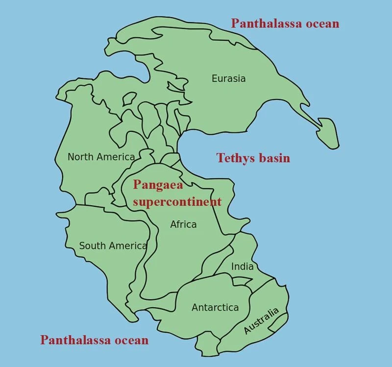 Paleoclimas da Terra e dióxido de carbono