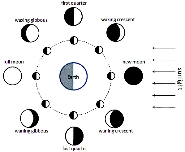 Les phases de la Lune