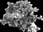 Des particules à la vie biochimique