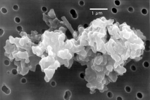 Composition of Interstellar Dust