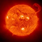 Solar Prominences: Filaments of Matter in the Solar Atmosphere