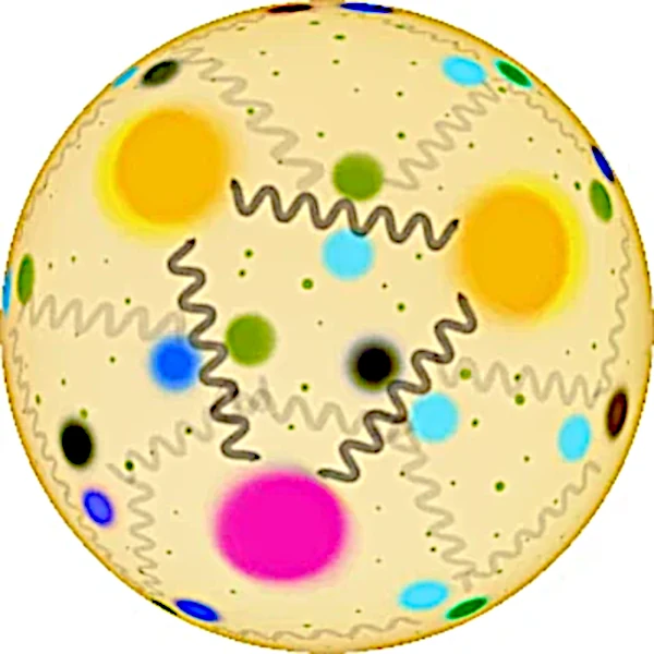 Le confinement des quarks