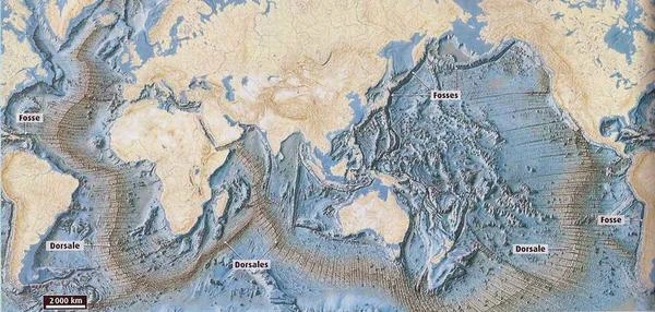 Relief des fonds marins : Exploration des profondeurs océaniques