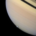 Rhea and Saturn’s Rings: Orbital Dynamics
