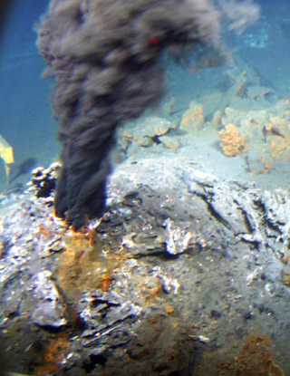 chaminés hidrotermais