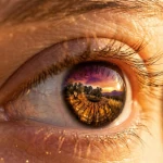 O Espectro Eletromagnético e a Visão: O que nossos olhos percebem do nosso planeta