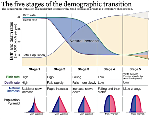 Modelo teórico de la transición demográfica