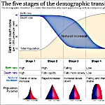 La Transition Démographique : Croissance ou Déclin ?