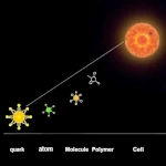 Le grand récit de la complexité : des particules élémentaires aux premiers organismes