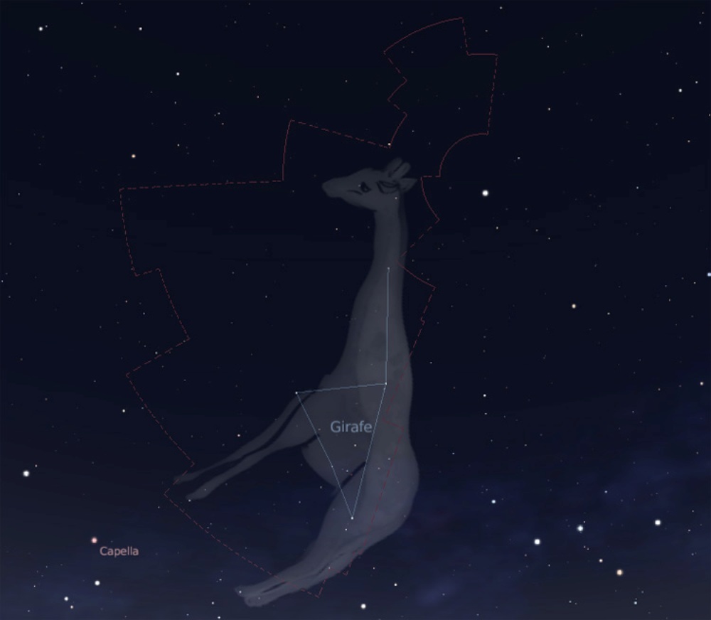 constellation de la girafe