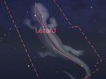 Southern hemisphere constellations - Lizard