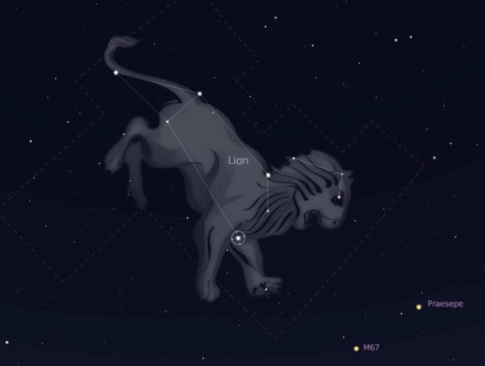 Lion constellation (Leo)