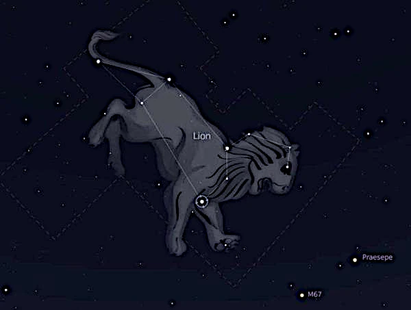 León (Leo)