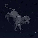 23 juillet - 21 Aout - Lion, ambitieux, créatif il court après le succès